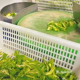 不得不说 参观完后厨才理解它为什么天天排队…