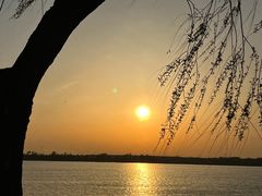 -丁香湖公园