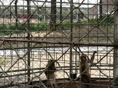 -北京鹿世界主题园