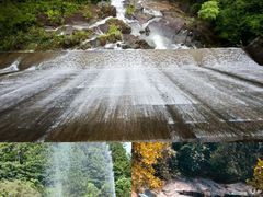 -广州白江湖森林公园