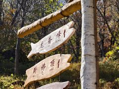 -香炉山国家森林公园
