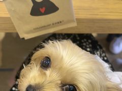 -星巴克(中山广场店)