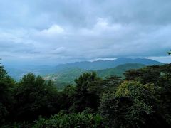 -广州市石门国家森林公园