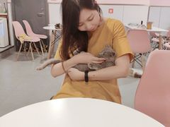-三花喵·撸猫购宠·宠物生活馆(虹桥南丰城店)