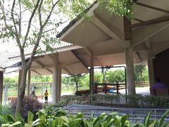 吴淞炮台湾湿地森林公园烧烤区-吴淞炮台湾湿地森林公园烧烤区