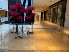 -上海中航虹桥机场泊悦酒店