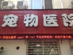 iphone_upload_pic-pd派德宠物中心医院24H急重症·眼科中心·血液透析中心(嵩山北路店)