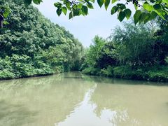 -同里国家湿地公园