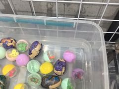 -黄记煌三汁焖锅(顺义华联店)