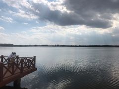 -丁香湖公园