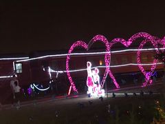 -菊园百果园