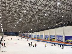 -绍兴启迪乔波冰雪世界