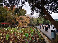 -韶山毛泽东同志故居