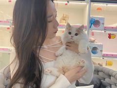 -lincat·猫舍(广州店)