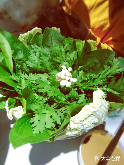 龍園涮肉(丰庆路店)青菜拼盘图片