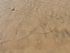 -南戴河旅游度假区