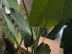 -湊湊火锅·茶憩(皇姑万象汇店)