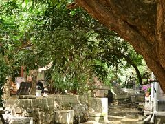 -小洲村