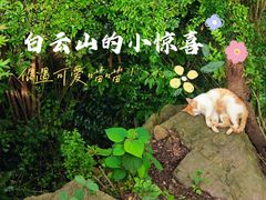 -广州市白云山风景名胜区