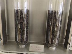 -喜茶(广州保利中环店)