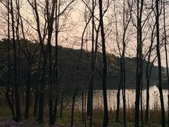 -双山岛