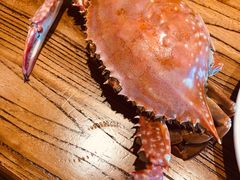 -小平岛開海水饺(浑南店)