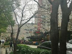 -玛格萝妮比萨屋(四平店)
