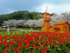 -苏州上方山国家森林公园
