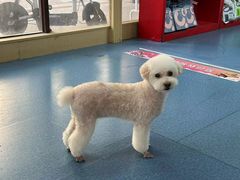 -宠颐生猫科·内科皮肤科(西平世纪城店)