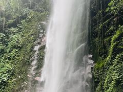 -莫里热带雨林景区