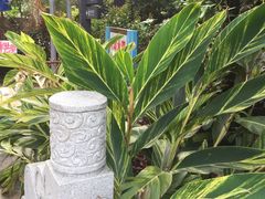 -小洲村