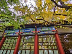 -四川大学(华西校区)