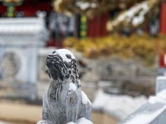 -迎泽公园