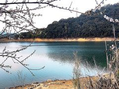 -广州市流溪河国家森林公园