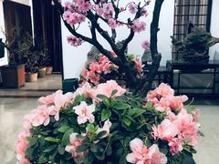 -石家庄市植物园