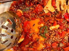 -赵美丽重庆火锅(西安直营总店)