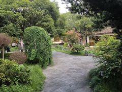 -日出青木·杭帮菜名店