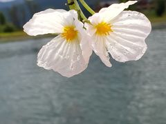 -丽江泸沽湖景区