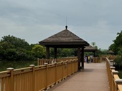 -大湾区中央湿地公园