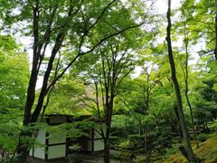-常寂光寺