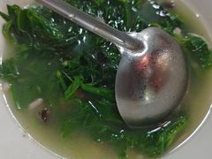 -东鸽皇(奥园·中环广场店)