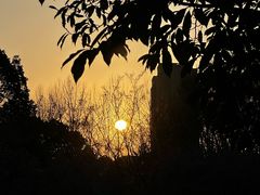 -白塘生态植物园