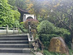 -十八棵（老龙井）御茶园(老龙井店)