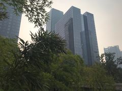 -重庆市江北嘴中央商务区中央公园