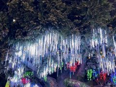 -弘阳·未来世界(弘阳广场店)