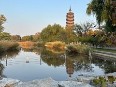 -西海子公园