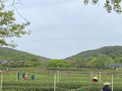-中国茶叶博物馆(双峰馆区)