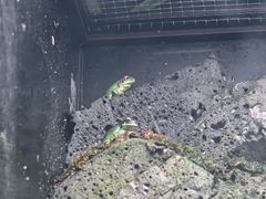 -海合安成都极地海洋公园