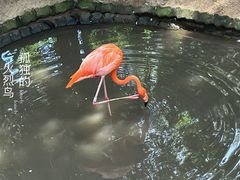 -西霞口神雕山野生动物世界