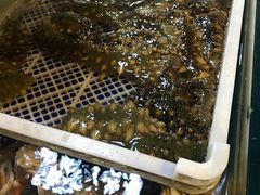 -旺角小渔村(幸福中路店)